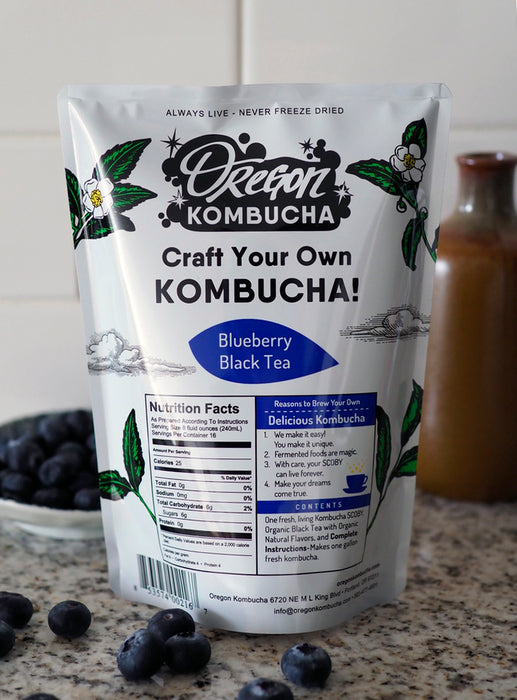 Simple Blueberry Black Tea Homemade Kombucha Starter Kit with Live SCOBY