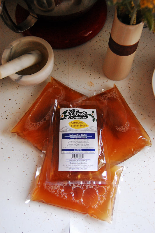 Live Kombucha Culture - Starter Tea and SCOBY