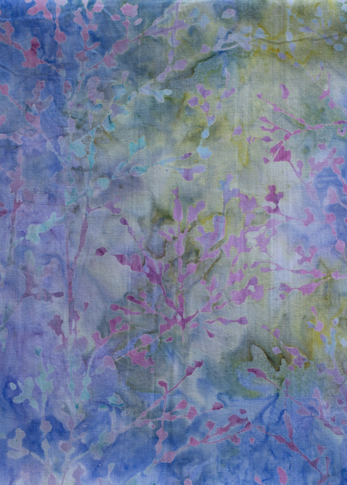 One Gallon Kombucha Home