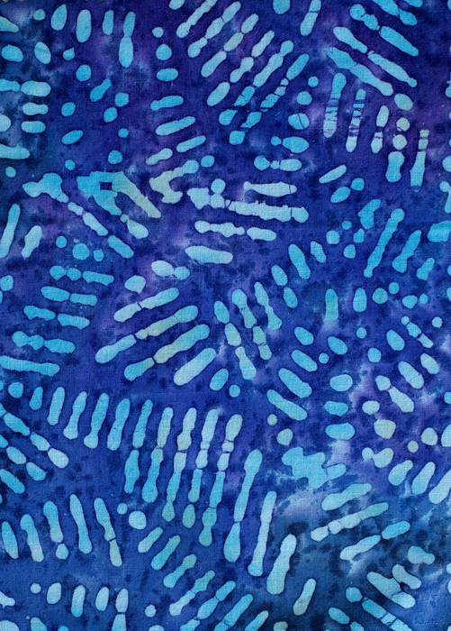 One Gallon Kombucha Home