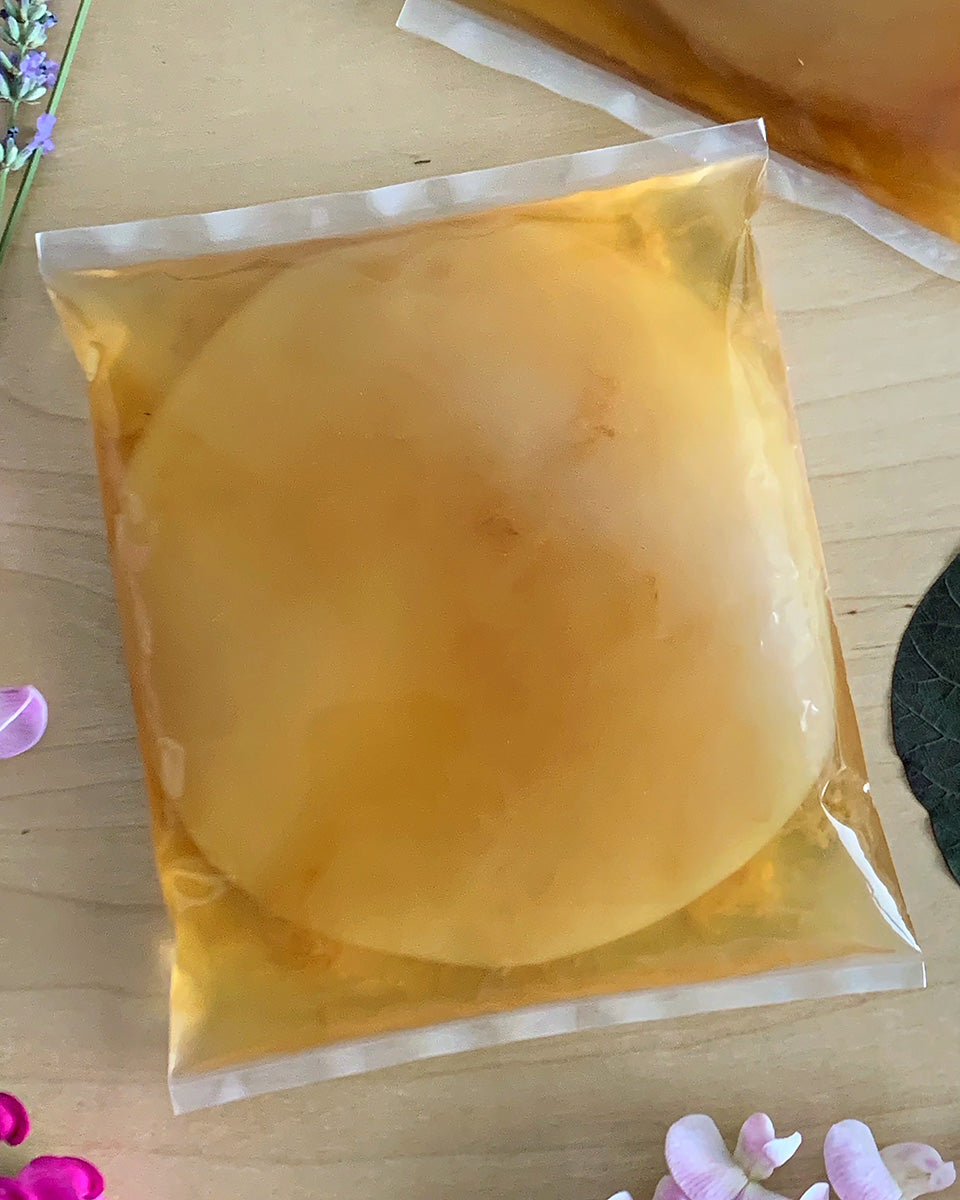 A sealed plastic package containing a large, translucent jun SCOBY and liquid culture, on a wooden surface with decorative flowers around it.